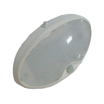 Light - LED - Motion Sensor - Bead Lens - w/Switch - w/On & Motion Options