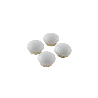 Button - Wood - 3/8" Mushroom - Hardwood - Maple - Designer White