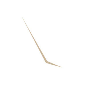 Diecut - 2025 - RP - Front - #38 - RH - 2025 Cap